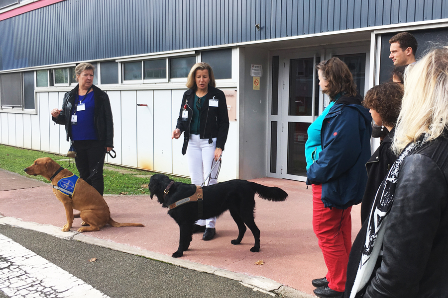 Parcours chien-guide